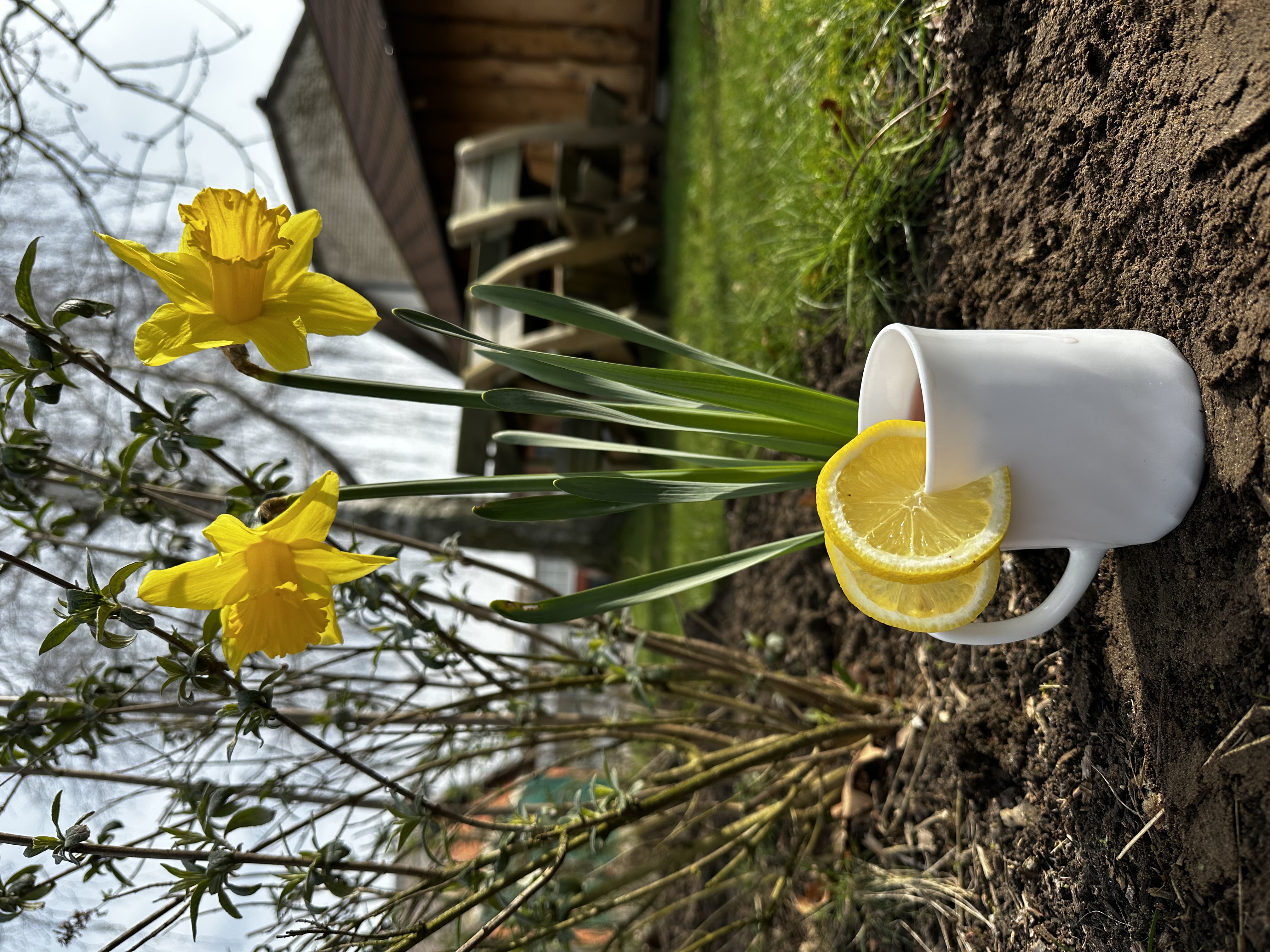 Frauentag bei den Bernsteinreitern